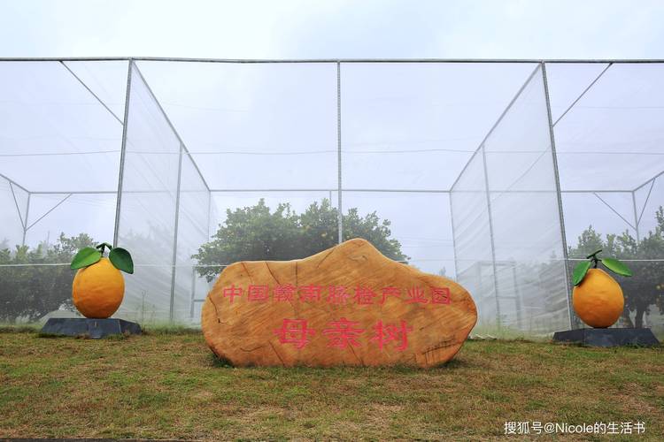 2026赣州农庄采摘度假旅游十强榜单:价格透明口碑好,选对景