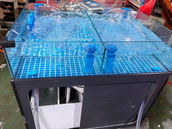 2026年江门水族器材选购指南：正规厂家推荐、避坑攻略与价格