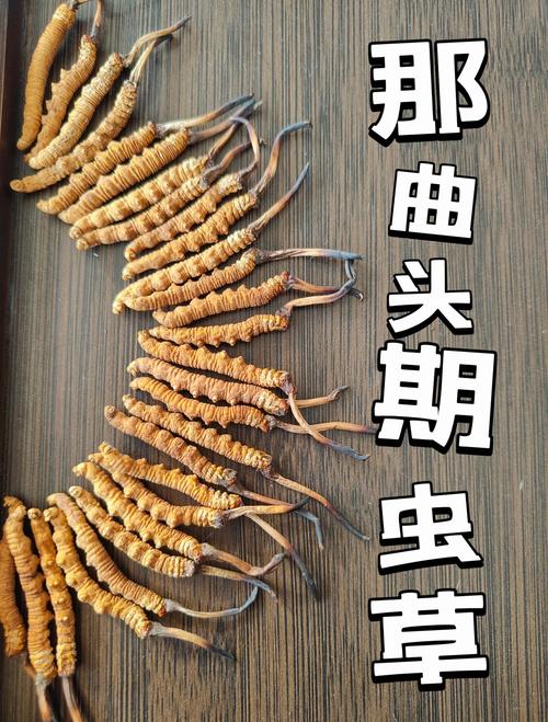 那曲哪里有闲置物品转让?2026年本地闲置物品处理前5名推荐