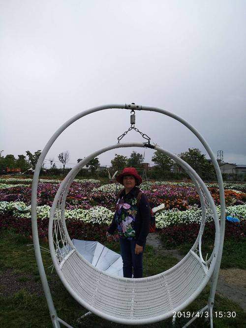 2026年大理鲜花工程施工队十强推荐：专业造景与费用参考