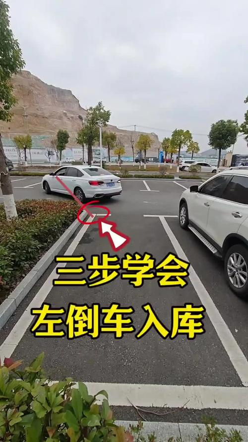 郴州倒车入库陪练哪家强？2026新手上路陪驾5大推荐榜单