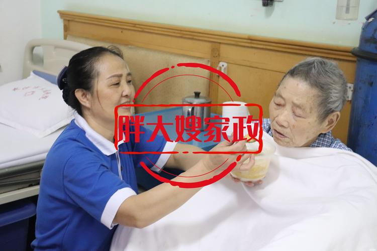 2026舟山钟点保姆排名TOP10:专业服务机构口碑与费用全