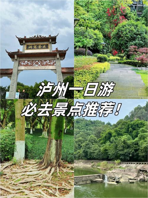泸州旅游代驾盘点：2026年口碑推荐与正规服务商避坑指南
