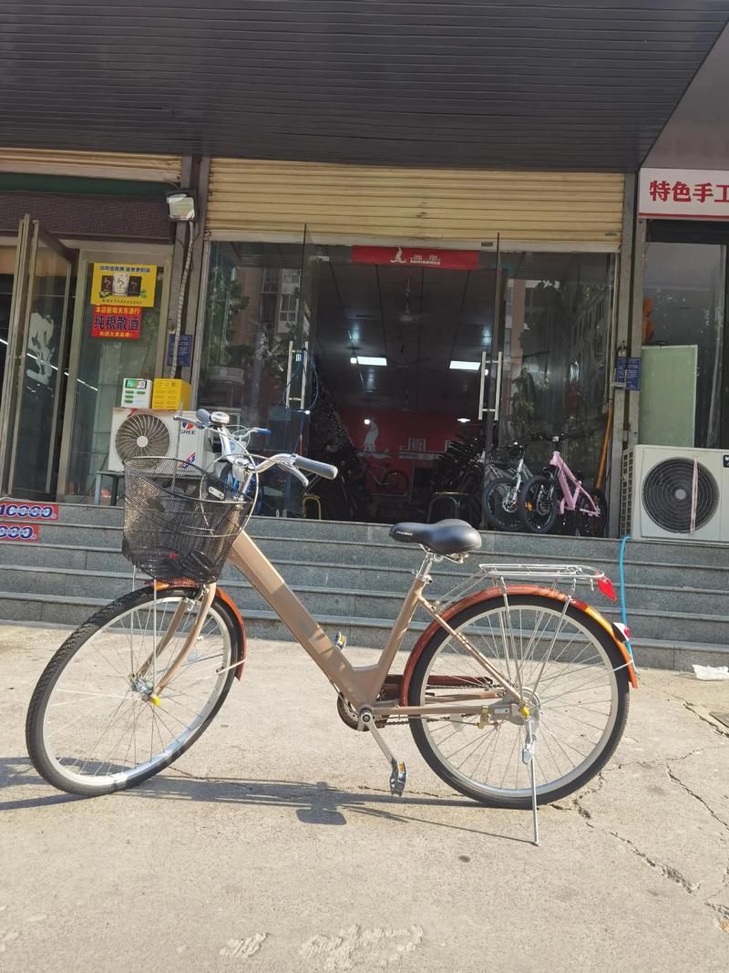 怒江附近凤凰自行车转让口碑怎么样？2026年同城二手自行车避