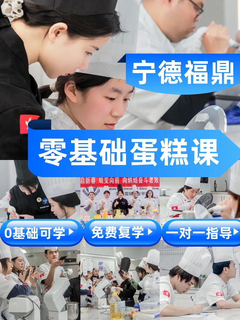 宁德外语零基础入门教学排名：2026年正规机构推荐与费用参考