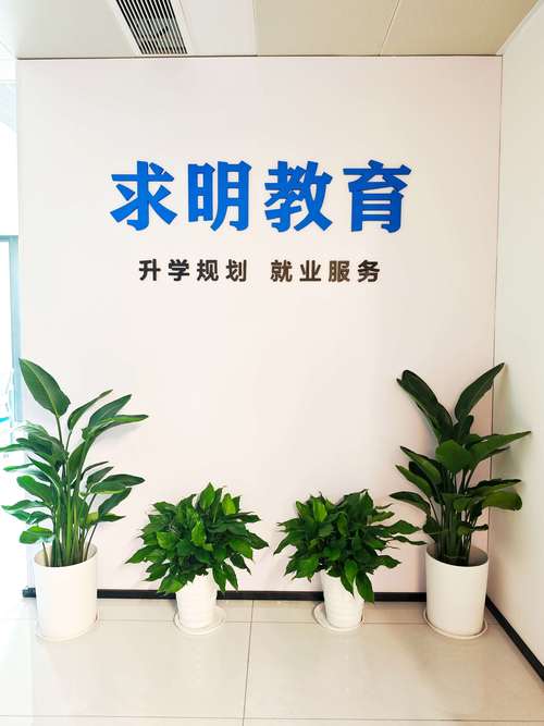 本地学历教育服务商的选择指南：提升学历的正确途径解析
