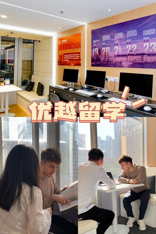 提升办理效率：选择本地留学签证上门咨询对接机构的实用指南