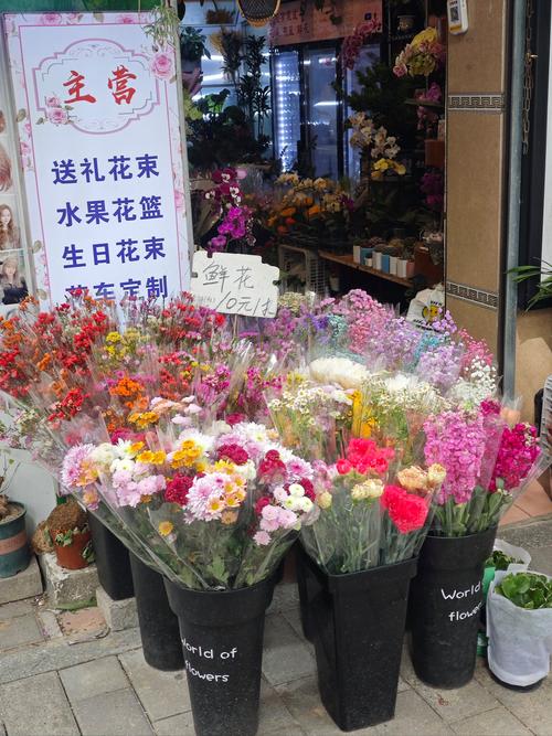寻找身边的美好:高品质观赏花卉门店的选购指南与行业观察