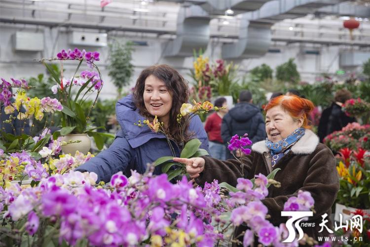 寻找身边的美好:高品质观赏花卉门店的选购指南与行业观察 寻找身边的美好:高品质观赏花卉门店的选购指南与行业观察