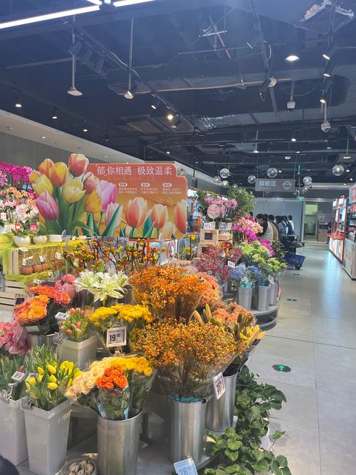 寻找身边的美好:高品质观赏花卉门店的选购指南与行业观察 寻找身边的美好:高品质观赏花卉门店的选购指南与行业观察